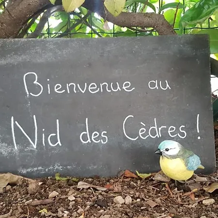 Le Nid Des Cedres, Voisin Des Thermes Et Du Centre Apartment